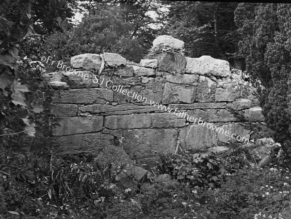 REMAINS OF ST MEL'S ORATORY